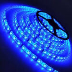 MAS Cata Ct-4484 10 Çip Şerit Led İç Mekan Mavi 5MT